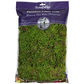 SuperMoss (25322) Forest Moss Preserved, Fresh Green, 8oz