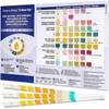 One Step 15 x Urine Home Test Strips 10 Parameter