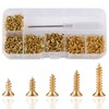 Roosea 1000 Pcs M2 Small Hinge Wood Screws 5/6/7/8/10 mm