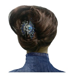 Set of 2 JCGY Hair Claws Metal Jaw Clips Antique Silver Trim NF86480-1-2sapphire Rose