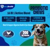 AuraHealth Probiotic 200 Chews for Small to Madium Dogs: 16-in-1