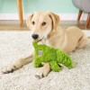 Kong Cozie Mediano Juguete Lagarto Para Perro Color Verde