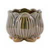 Segreto Creative Succulent Plant Pots Ceramic Planter