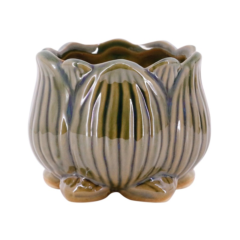 Segreto Creative Succulent Plant Pots Ceramic Planter
