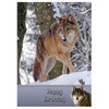 Wolf Birthday Card