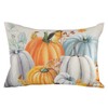 Pillow Covers 24x36 Inch - Body Thanksgiving Fall Pumpkin Bird