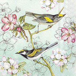 IHR Ideal Home Range Cocktail Napkins Disposable 3-Ply Paper Party Napkin Pack, 5" x 5", Birds Symphony Green