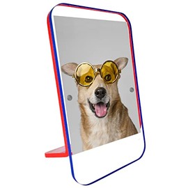 Canetti Colorful Magnet Frame, 5x7", Blue/Red