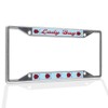 Fastasticdeals Metal Insert License Plate Frame Lady Bug Family Ladybug