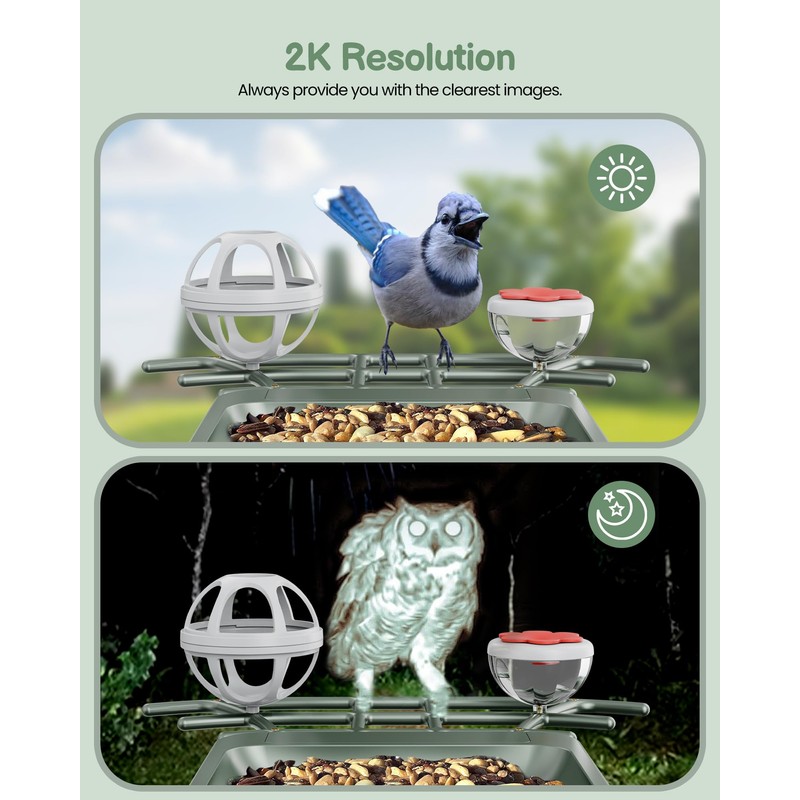 Smart Bird Feeder with Camera Outdoor: Solar Birdfeeder Cam for