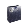 Eurowrap Navy Ombre Birthday Occasions Gift Bag with Silver Tag