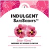 Summers Eve Sheer Floral Cleansing Cloths, Individually Wrapped, 16-Count (2-Pack)