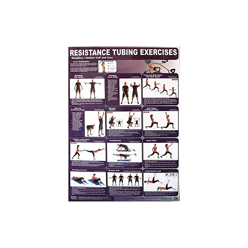Productive Fitness Poster Series Upper Resistance Tubing Exercises Laminated