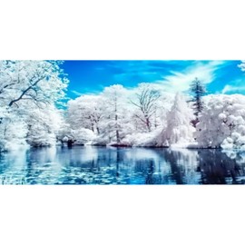 KTHOFCY 5D DIY Diamond Painting Kits for Adults, Cpyress Forest Scene Full Drill Embroidery Cross Stitch Crystal Rhinestone Paintings Pictures Arts Wall Decor Painting Dots Kits 15.7X27.5inch