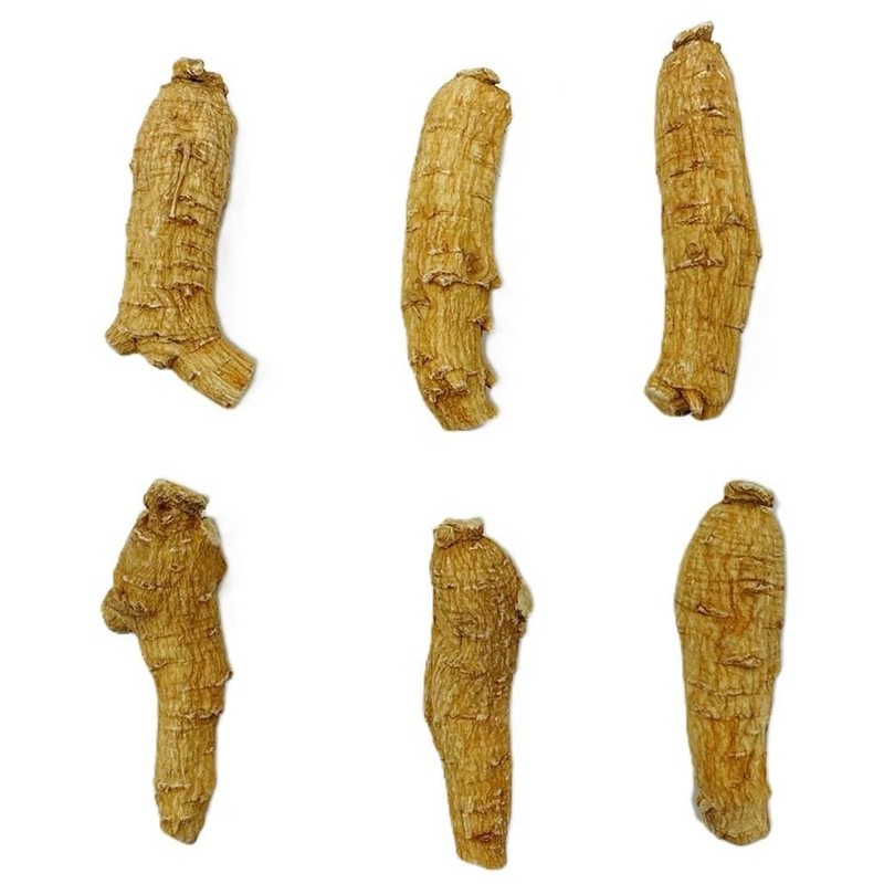 Hand Selected A Grade American Ginseng Root Large Short (4