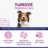 YuMOVE Digestive Care Rapid Probiotic Paste for Large Dogs |