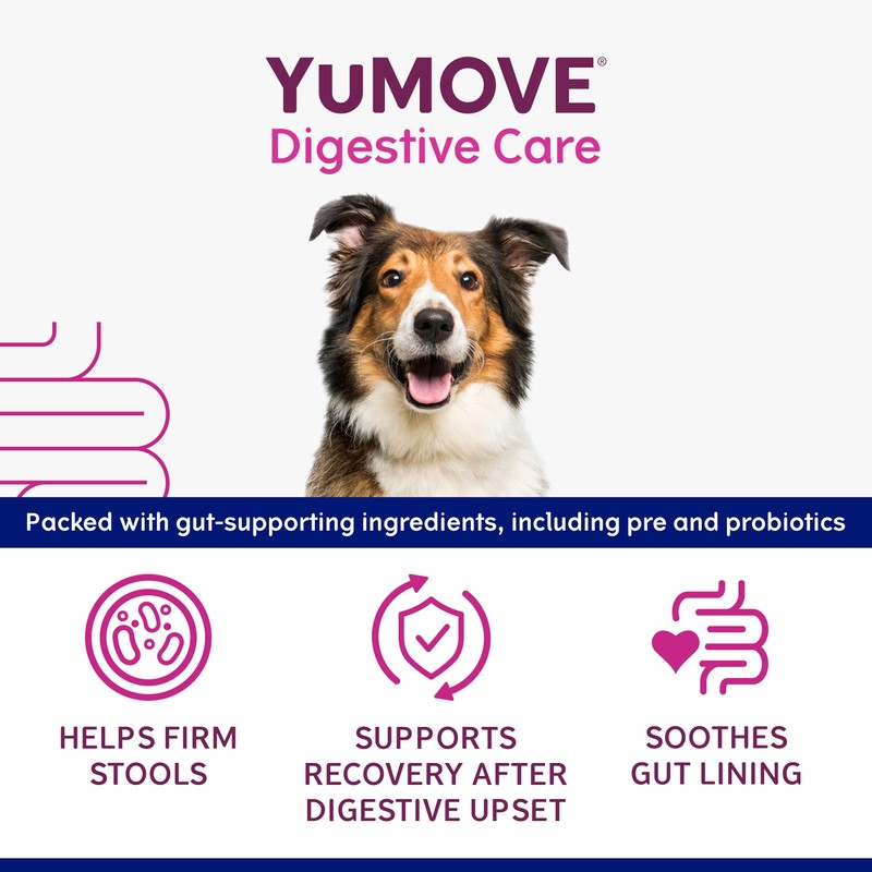 YuMOVE Digestive Care Rapid Probiotic Paste for Large Dogs |