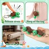Qilery 30 Sets Turtle Fidget Clicker Keychains Gift Boxes Back
