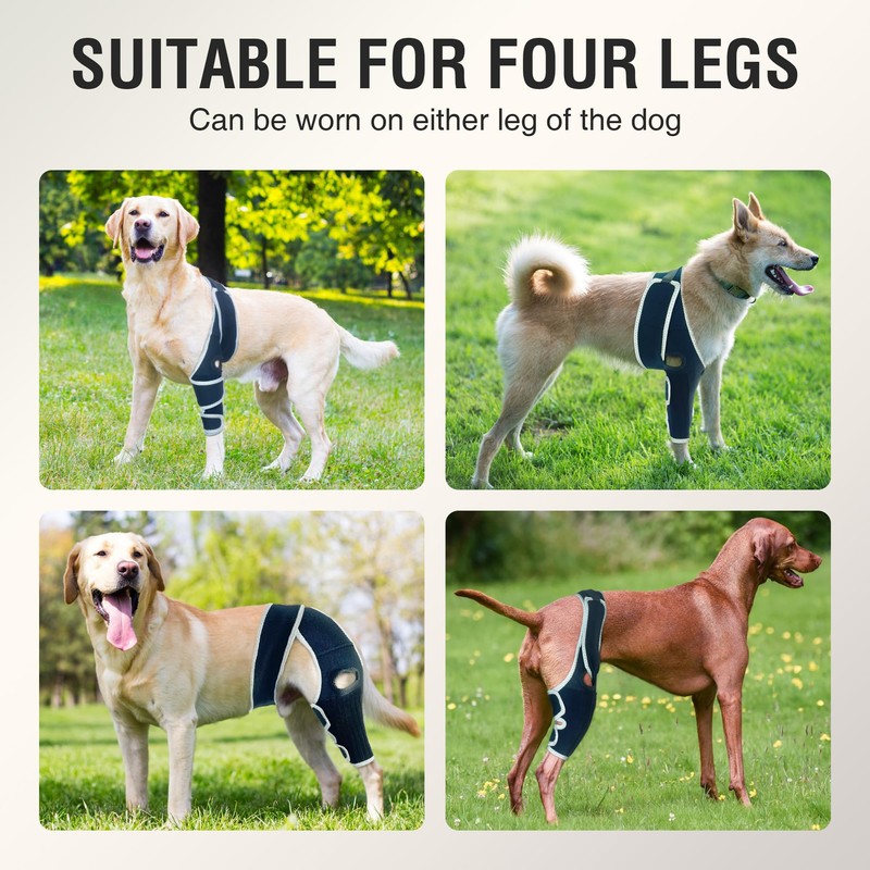 KISFLY Dog Knee Brace for Small Dogs, Patella Support &