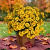 Daisy Artificial Flowers for Outdoors,Yellow Artificial Mums (6, yellow)
