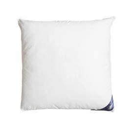 Welt der Träume Down pillow, 40 x 40 cm, filling weight: 300 g, cover made of 100% cotton, pillow 40 x 40 cm, feather down pillow, no live plucking, white, 1 piece