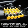 Formula 1 Interior Detailing Protectant Spray, Car Interior Cleaner with