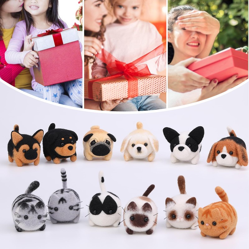 Wool Felt Kit, 12 Pieces, Needle Felt for Beginners, Instructions