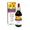 Pot Marigold (Calendula officinalis) Flower Heads Alcohol-Free Mother Tincture Naturalma
