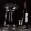 NEW PACIFIC YOUYAH YouYah Iceberg Wine Decanter Set with Aerator