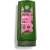 Yves Rocher - Acondicionador Protector con Vinagre de Frambuesa -