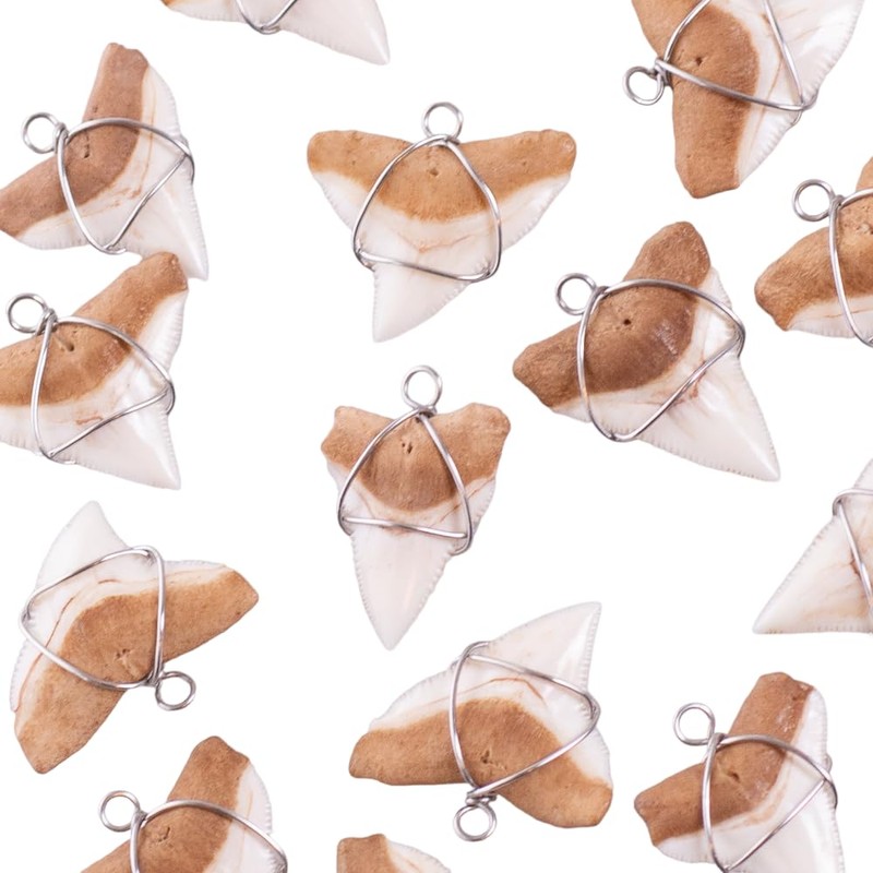 BlueRica Shark Tooth on Puka & Brown Coconut Shell Beads