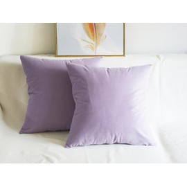 Lutanky Velvet Cushion covers (Pack of 2) Soft Throw Pillow Cases Decorative Square Cushion Cover for Sofa Home Decor 18" X 18" （45 x 45 cm）(taro purple, 2 Pieces)