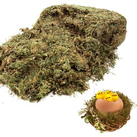 35 OZ Large Capacity Fake Moss for Potted Plants- Natural Moss Decor Faux Moss for Fake Plants Indoor Planters Micro-Landscape Terrarium Decor, Forest Moss for Hamsters