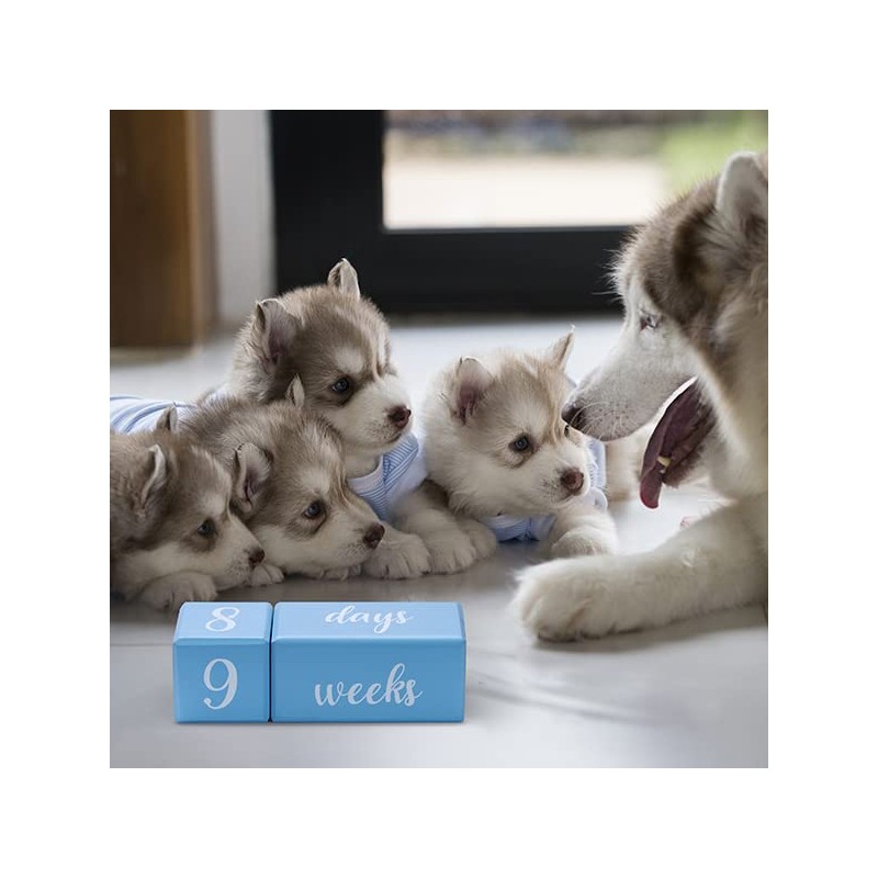 Baby Milestone Blocks - Blue