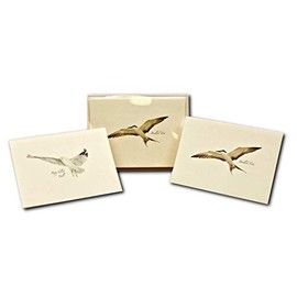Earth Sky + Water - Gull & Tern Assortment Notecard Set - 8 Blank Cards with Envelopes (4 each of 2 styles)