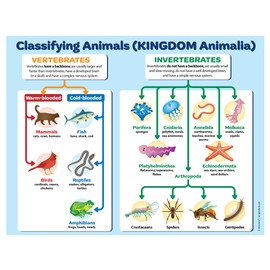 ZOCO - Animal Kingdom Classification Poster - Laminated 17 x 22 inches - Taxonomy Chart - Elementary, Middle & High School Science Posters, Biology Classroom Decor