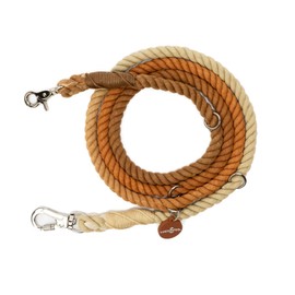 The Lucy & Co. Chocolate Meadows Hands-Free 6-in-1 Rope Leash