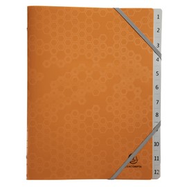 Exacompta - Ref. 58310E - File folder with 3 Maïa flaps - elastic closure - in recycled polypropylene - 12 compartments - dimensions 25x32 cm - for A4 - random colours