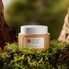 본초발효 누룩 어성초크림 50g Herbal Fermentation Nuruok Mugwort Cream 50g