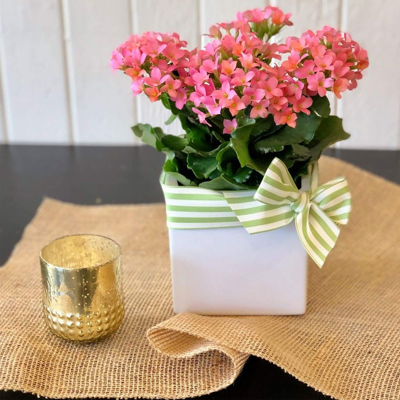 WGV Ceramic Cube Vase Bulk Width 6.5" Height 6" (Fits