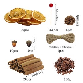 227pcs Christmas Wreath Making Decoration with Cinnamon Sticks Berries Pinecones Star Anise Dried Orange Slices and 10m Twine, DIY Festive Christmas Decoration Craft Accessories