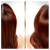 Hair Biology Cleanse & Reconstruct Conditioner for Oily Roots and
