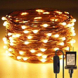 RUICHEN Plug in Fairy String Lights with Switch, Waterproof 33 Ft 100 LED Copper Wire Firefly Lights for Bedroom, Patio, Garden, Balcony, Dorm, Warm White