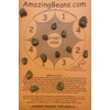 30 Live Mexican Jumping Beans: 6 Cases With 5 Beans