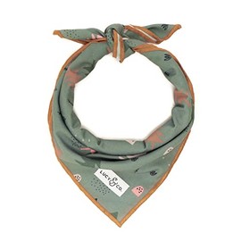 Lucy & Co. Bandana - Designer Puppy Accessory - Machine Washable - Durable Comfortable Bandana for Dogs, Take a Hike, Large
