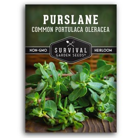 Common Purslane Seed for Planting - 1 Packet with Instructions to Plant & Grow Green Portulaca Oleracea in Your Home Vegetable Garden - Non-GMO Heirloom Variety Vegetable Seed - Survival Garden Seeds