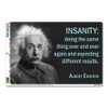 Definition of Insanity Einstein - Funny Novelty Gift Locker Refrigerator