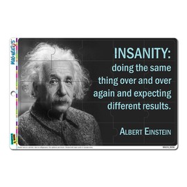 Definition of Insanity Einstein - Funny Novelty Gift Locker Refrigerator Vinyl Puzzle Magnet Set