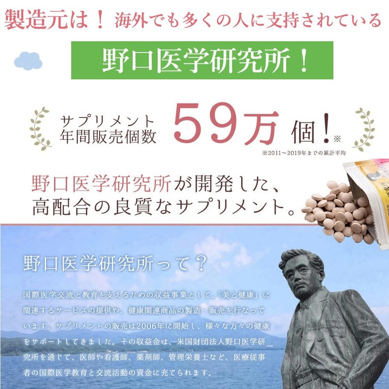 【管理栄養士・薬剤師監修の葉酸サプリ】 葉酸900μg配合 野口医学研究所 葉酸＆鉄＆カルシウム＋乳酸菌 葉酸900μg 90粒（約30日分）