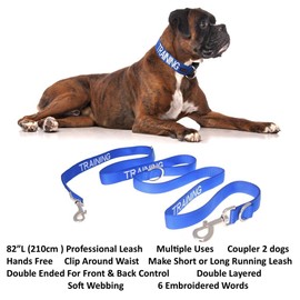 TRAINING (Dog In Training/Do Not Disturb) Blue Colour Coded S-M L-XL Dog Collar and 60cm 1.2m 1.8m or 2m Multi-use Luxury Neoprene Padded Handle Lead Sets PREVENTS Accidents By Warning Others Of Your Dog In Advance (L-XL & 2m)